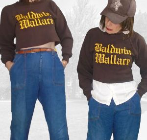1980s Cropped Sweatshirt, Brown Knit Preppy Vsco Dark Academia Baldwin Wallace