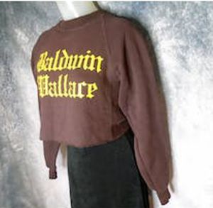 1980s Cropped Sweatshirt, Brown Knit Preppy Vsco Dark Academia Baldwin Wallace - Fashionconstellate.com