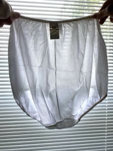 Vintage 100% Nylon Maternity Panties 1960s NWT White Small Sheer Front Panel - Fashionconstellate.com